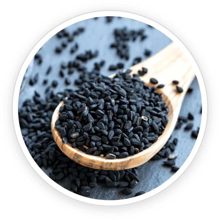 Babchi (Psoralea Corylifolia) – Skin Rejuvenation Herb