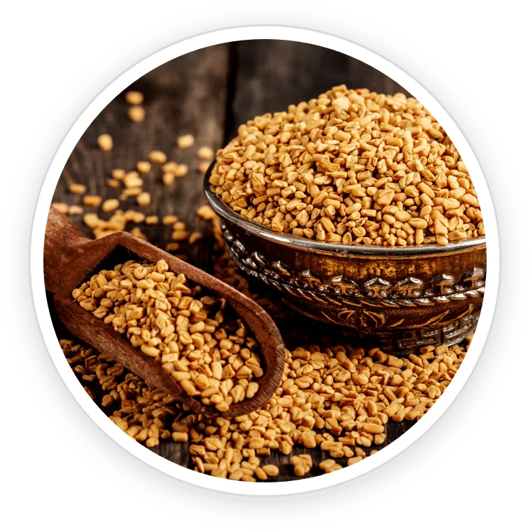 Fenugreek – Gut & Metabolism Booster