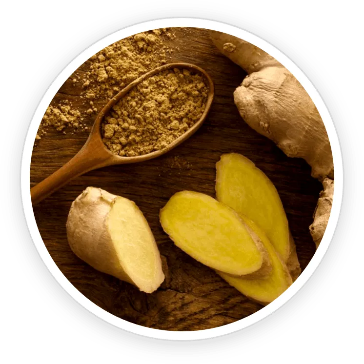 Organic Ceylon Ginger – Gut & Inflammation Fighter